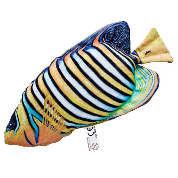 Gaby The Regal Angelfish Medium