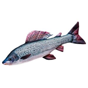 Gaby The Grayling Medium