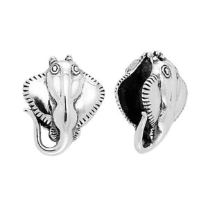 Dive silver Ray Bead