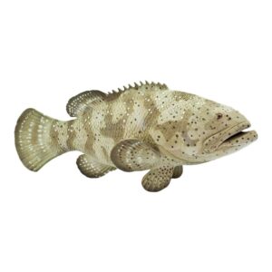 Safari ltd Figura Goliath Grouper