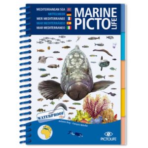 Pictolife Caribenho Marine Pictolife
