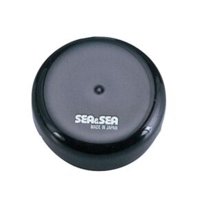 Sea and Sea Tampa Da Porta Front