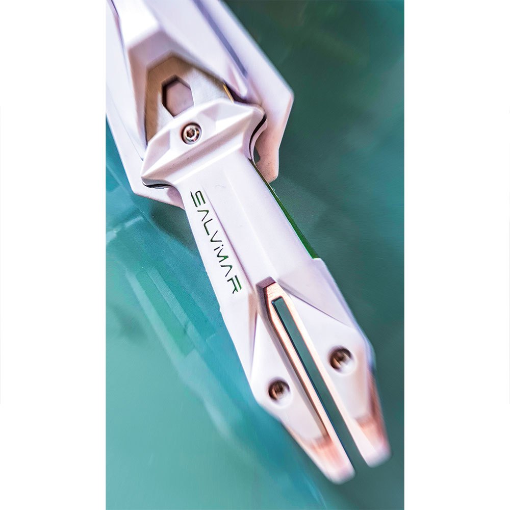 Salvimar Goemon - Imagem 9