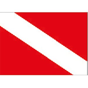 Aqualung Diving Flag US