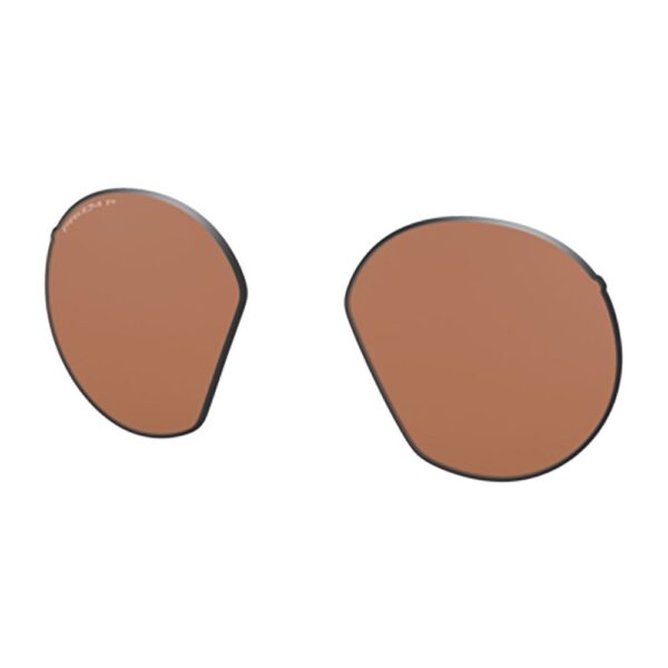 Oakley Lentes Substituição HSTN Prizm Tungsten Polarized S
