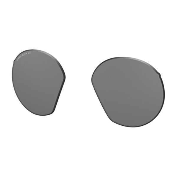 Oakley Lentes Substituição HSTN Prizm Black Polarized S