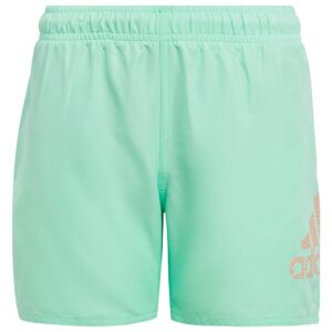 adidas Shorts De Natação Bos Clx Sl