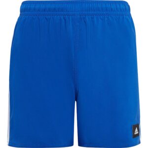 adidas Shorts De Natação 3S