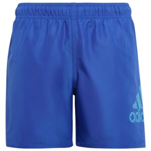 adidas Shorts De Natação Bos Clx Sl