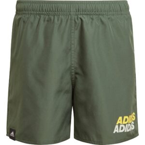 adidas Shorts De Natação Lineage