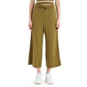 Icebreaker Shorts Internos Granary