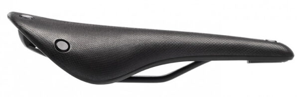 Selim Brooks Cambium C15 para todos os climas - Imagem 2