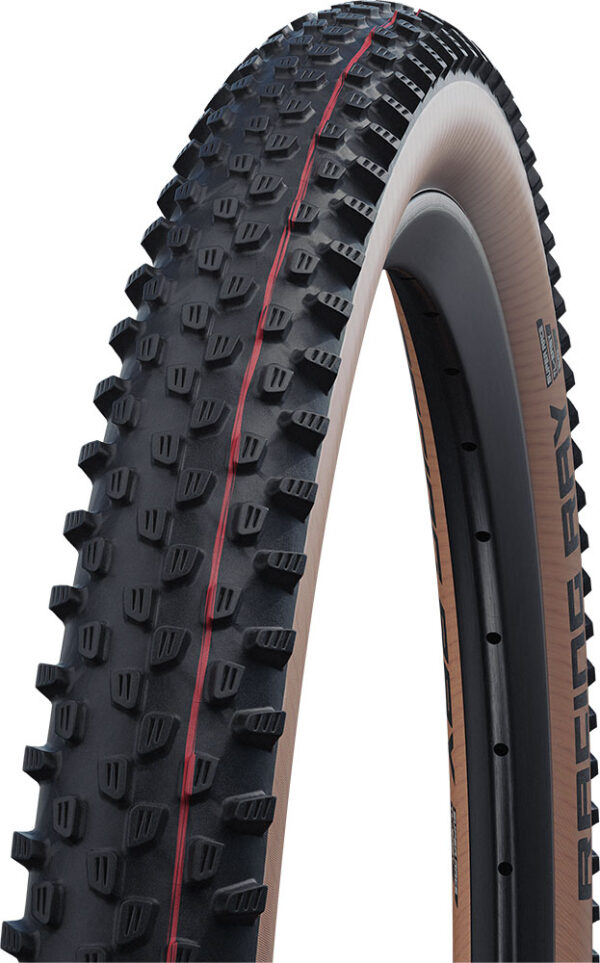 Schwalbe Racing Ray Evo Super Race 29" Addix Speed TLE - Pneu - MTB