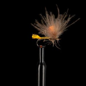 Baetis Voe Trico CDC Vila