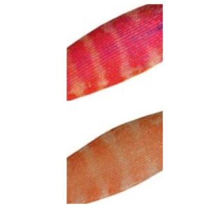 DTD Toneira Soft Natural Kanjac 2.0 65 Mm 4.9g