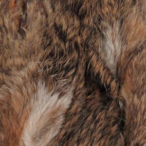 Baetis Máscara De Lebre