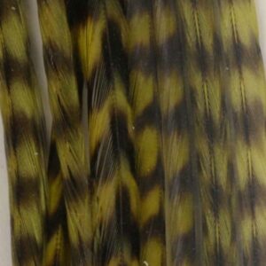 Baetis Pluma Colgadera