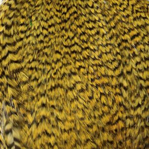 Baetis Pluma Colgadera