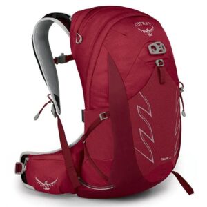 Osprey Talon 22