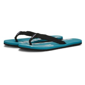 Puma Chinelos Epic V2