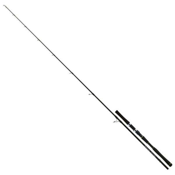 Molix Cana Spinning Fioretto Speciale JackFin Needlefish