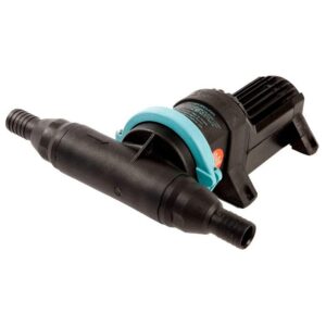 Whale Bombear Gulper Groupper