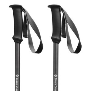 Black diamond Poloneses Trail Explorer