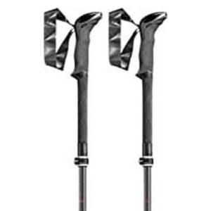 Leki Poloneses Makalu FX Carbon AS