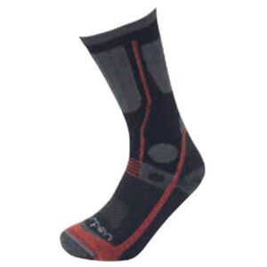Lorpen Meias All Season Trekker