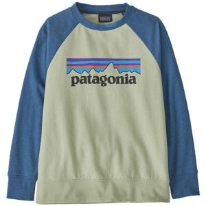Patagonia Sweat Lw Crew Criança