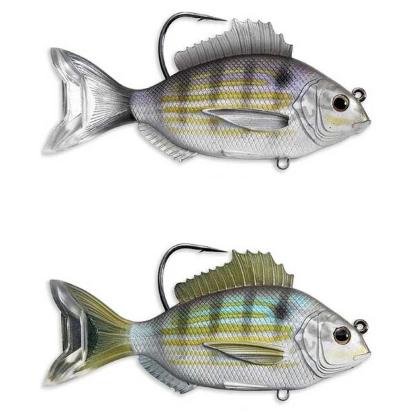 Live target Isca De Peixe 93 mm 21g