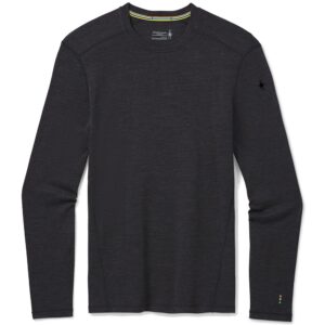 Smartwool Camiseta Manga Comprida Merino 250