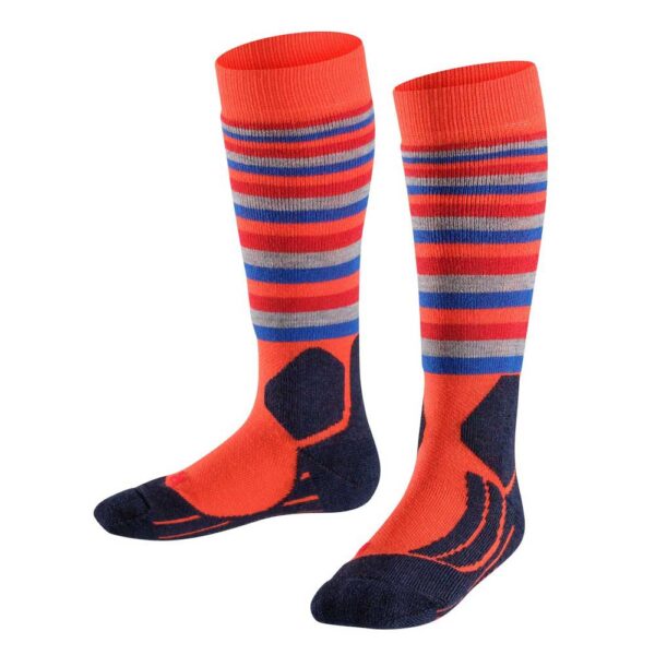 Falke Meias SK2 Stripe