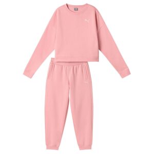 Puma Fato De Treino FL