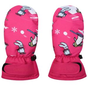 Dare2B Luvas Júnior Snow Play