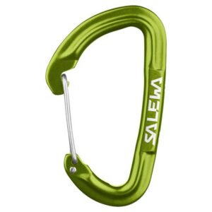 Salewa Mosquetão Hot G3 Wire