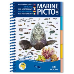Pictolife Marinha Mediterrânea