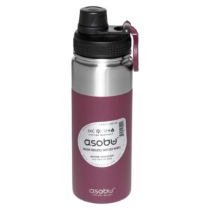 Asobu Garrafa Térmica Alpine Flask 530ml