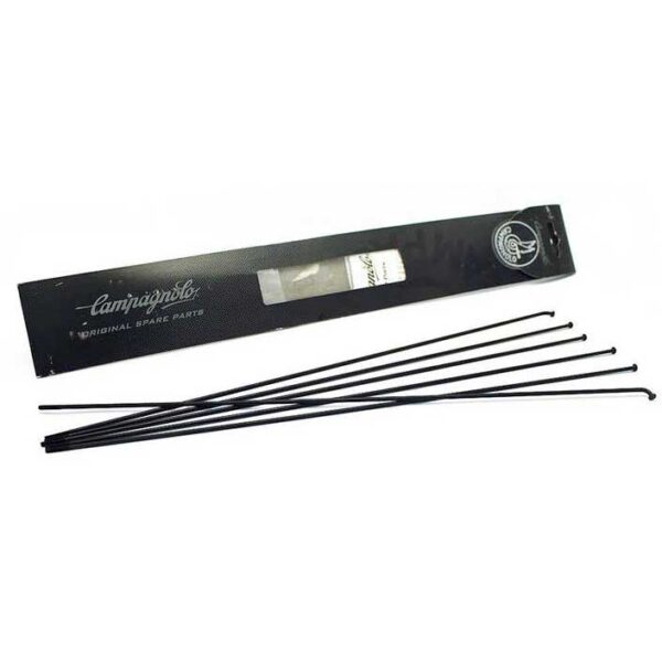 Campagnolo Raio Do Mini-Kit Raios Khamsin