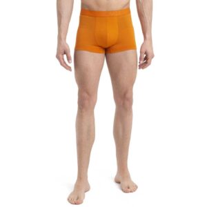 Icebreaker Boxer Anatomica Cool-Lite Trunks Merino