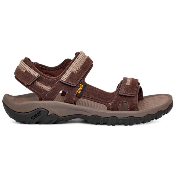 Teva Hudson