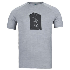 Odlo Ascent Performance Wool 130 Tee