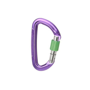 Wild Country Session Screw Gate