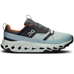 on running Cloudhorizon WP