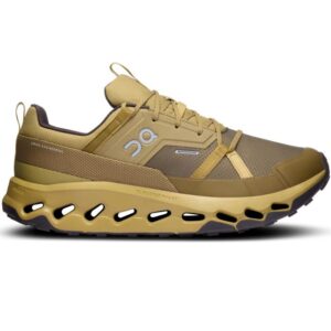 on running Cloudhorizon WP M