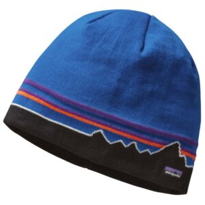 patagonia Beanie Hat