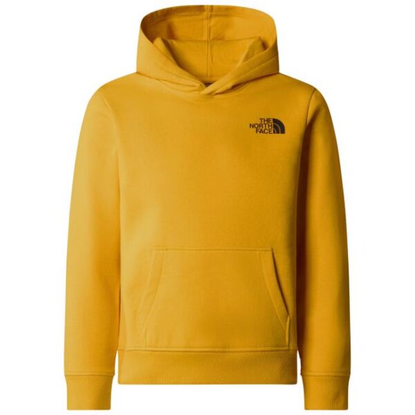 the north face Teen Redbox Regular P/O Hoodie