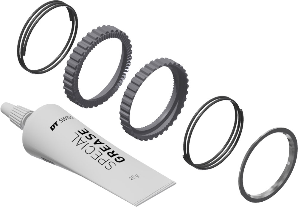 DT Swiss Ratchet DEG 72T Service Kit