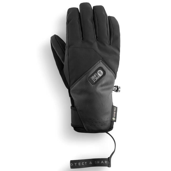 picture pionner gtx w