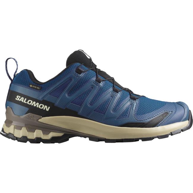 salomon xa pro 3d v9 gtx